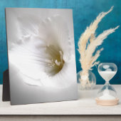 Weißes Gefrierwasser Fotoplatte (Seite)