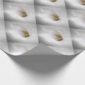 Weißes Gefrierwasser Geschenkpapier (Ecke)