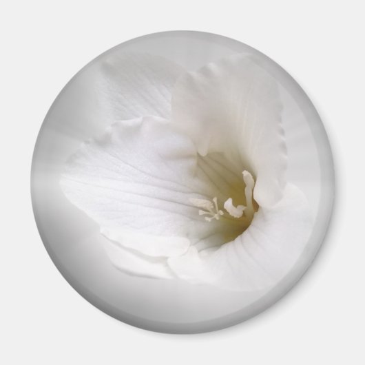 Weißes Gefrierwasser Magnet (Vorne)