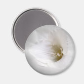 Weißes Gefrierwasser Magnet (Vorderseite/Rückseite)