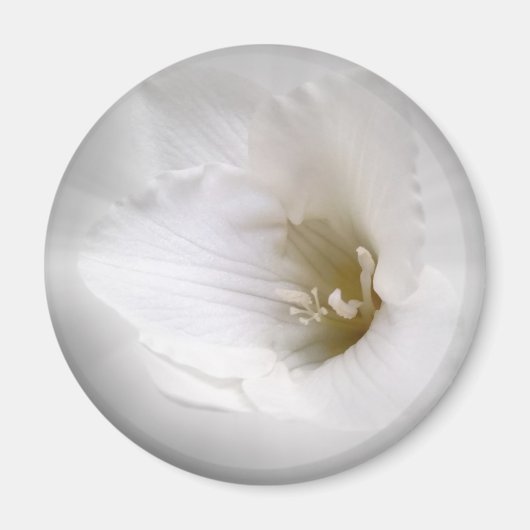 Weißes Gefrierwasser Magnet (Vorne)