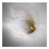 Weißes Gefrierwasser Poster (Vorderseite)