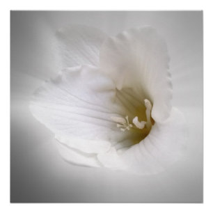 Weißes Gefrierwasser Poster