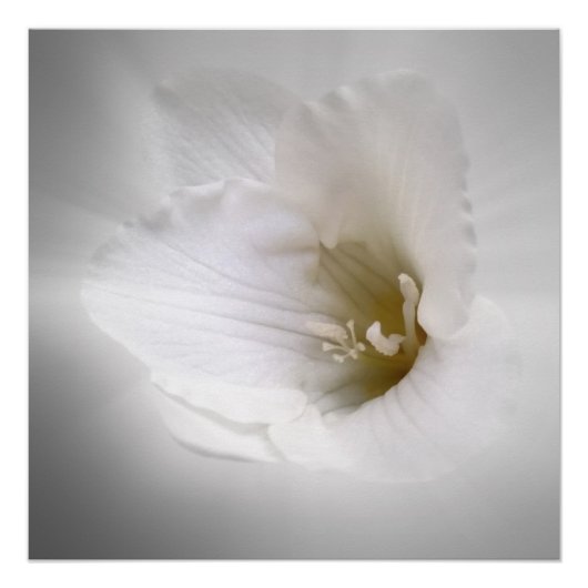 Weißes Gefrierwasser Poster (Vorderseite)