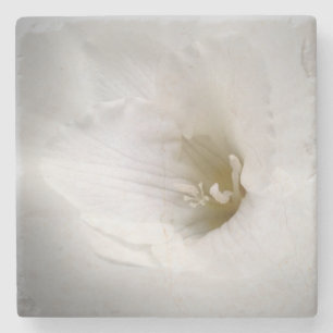 Weißes Gefrierwasser Steinuntersetzer