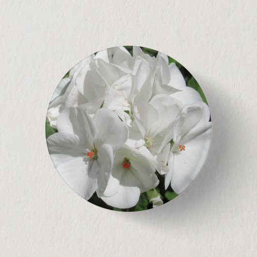 Weißes Geranium-Blume-Foto Button (Vorderseite)