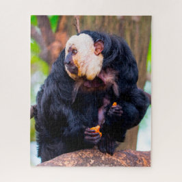 Weißes Gesicht Saki Affe. Puzzle