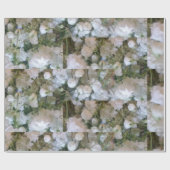 Weißes Gipskraut Geschenkpapier (Flach)