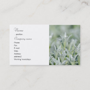 Weißes Gras Visitenkarte