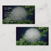 weißes Haele lehua (Calliandra inaequilatera) Visitenkarte (Vorne/Hinten)