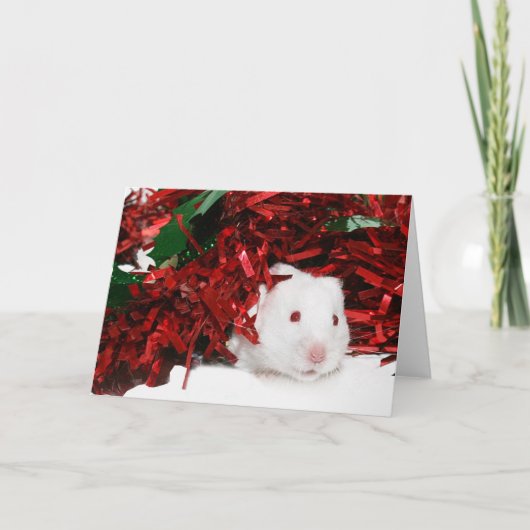 Weißes Hamster Weihnachten (Vorderseite)