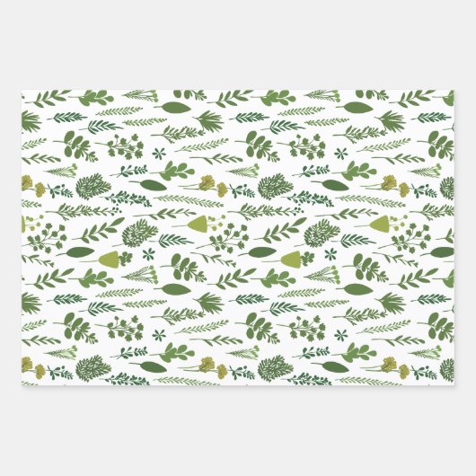 Weißes handGezeichnet Botanisches Geschenkpapier Set (Vorderseite 3)