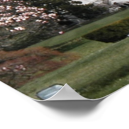 Weißes Haus Poster (Ecke)