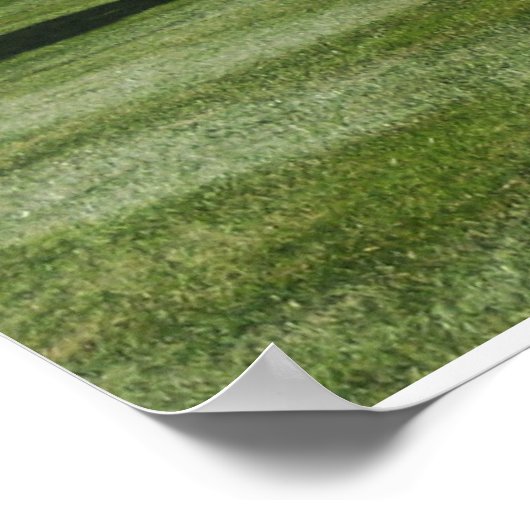 WEISSES HAUS POSTER (Ecke)