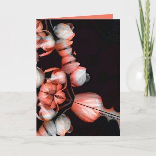 "Weißes Herz in schwarz von Sonne" & Indifferenz Karte (Vorderseite)