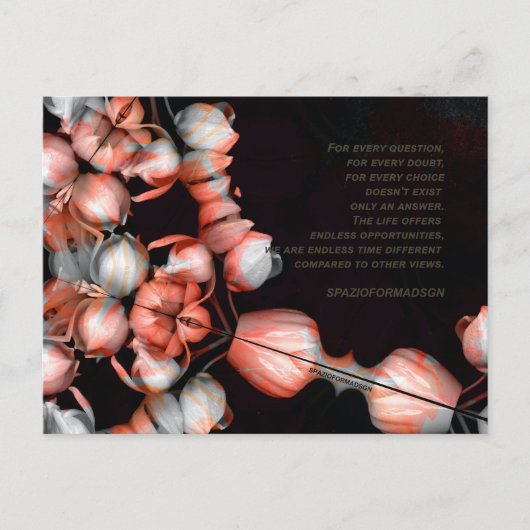 "Weißes Herz in schwarz von Sonne" & Zweifel Postkarte (Vorderseite)