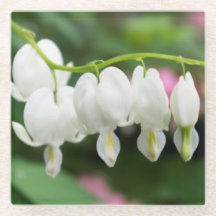 "Weißes Herz-" ursprüngliche Kunst durch KAS