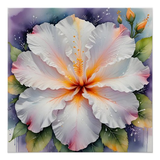 weißes Hibiskus-Blumenposter Poster (Vorderseite)