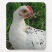 Weißes Huhn Mousepad (Vorne)