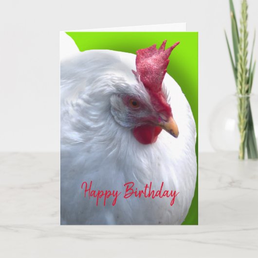 Weißes Hühner-Geburtstag Karte (Vorderseite)