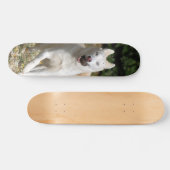 Weißes Husky-Skateboard Skateboard (Horizontal)