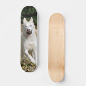 Weißes Husky-Skateboard Skateboard (Vorderseite)