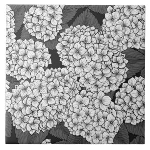 Weißes Hydrangea Fliese