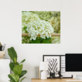 Weißes Hydrangea Poster (Heimbüro)
