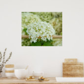 Weißes Hydrangea Poster (Küche)