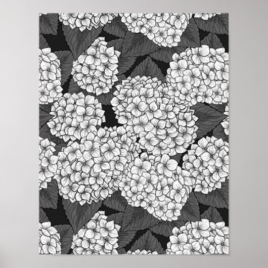 Weißes Hydrangea Poster (Vorne)
