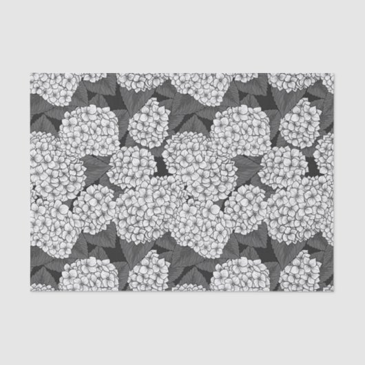 Weißes Hydrangea Seidenpapier (Vorderseite)