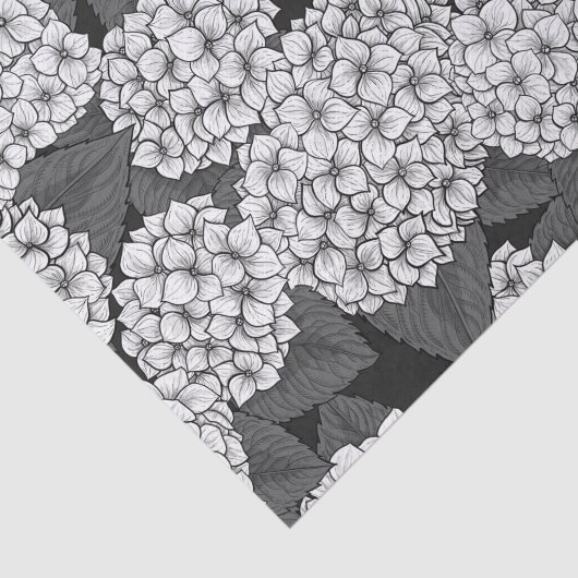 Weißes Hydrangea Seidenpapier (Ausschnitt)