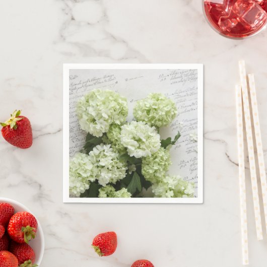 Weißes Hydrangeas mit Skriptersatz Serviette (Beispiel)