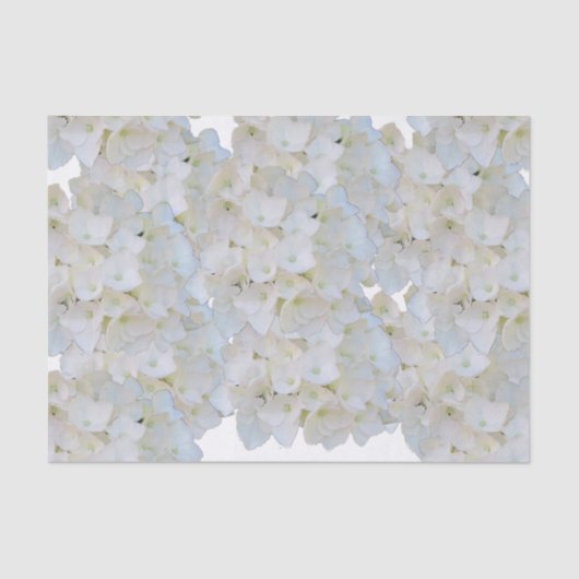 Weißes Hydrangeas-Tissue Seidenpapier (Vorderseite)