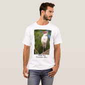 Weißes IBIS, (Eudocimus… T-Shirt (Vorne ganz)