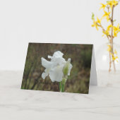 Weißes Iris-Beileid Karte (Gelbe Blume)