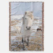 Weißes Isländisches Pferd, Island Decke (Vorderseite Vertikal)