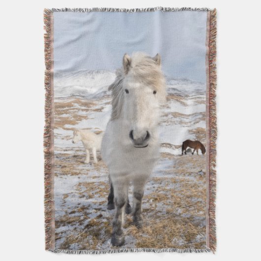 Weißes Isländisches Pferd, Island Decke (Vorderseite Vertikal)