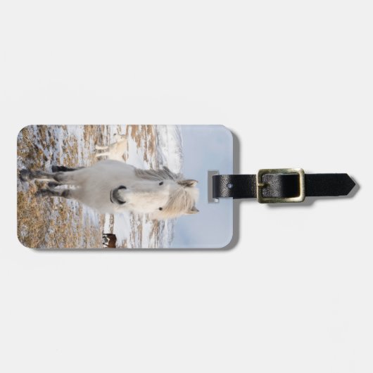 Weißes Isländisches Pferd, Island Gepäckanhänger (Vorderseite horizontal)