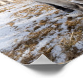 Weißes Isländisches Pferd, Island Poster (Ecke)