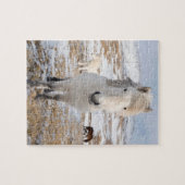Weißes Isländisches Pferd, Island Puzzle (Horizontal)