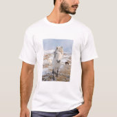 Weißes Isländisches Pferd, Island T-Shirt (Vorderseite)