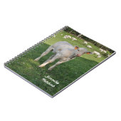 Weißes Kalb, das Notizbuch bewirtschaftet Notizblock (Linke Seite)