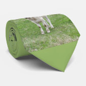 Weißes Kalb Krawatte (Gerollt)