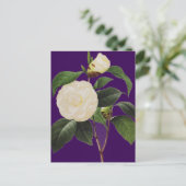 Weißes Kamelien, 1833 Postkarte (Stehend Vorderseite)