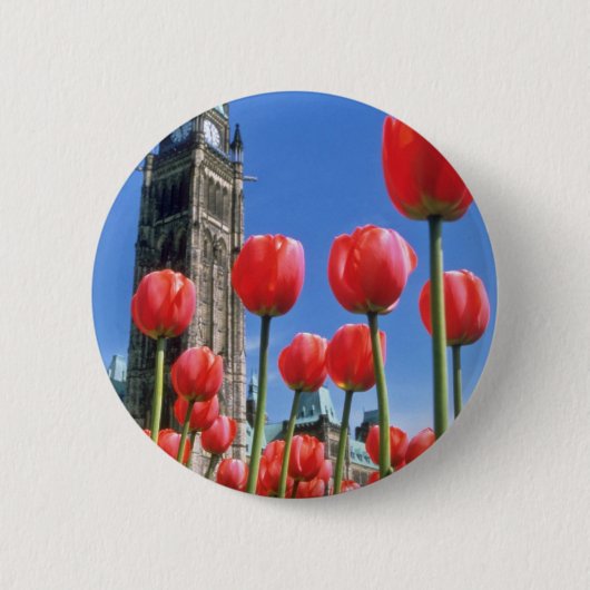 Weißes kanadisches Tulpe-Festival, Friedensturm Button (Vorderseite)