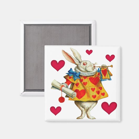 Weißes Kaninchen 1 Magnet (Vorderseite/Rückseite)