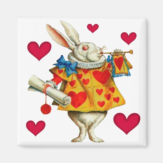 Weißes Kaninchen 1 Magnet (Vorne)