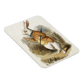 Weißes Kaninchen aus Vintager Alice im Wunderland Magnet (Rechte Seite)