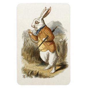Weißes Kaninchen aus Vintager Alice im Wunderland Magnet